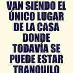 9205ec9d209a97da61438a18e3805025